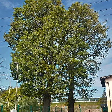 Pod Debami Habitación en casa particular *