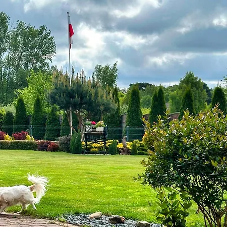 منزل للإقامة Pod Debami سفينويتشي