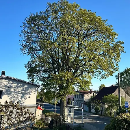 Pod Debami Świnoujście