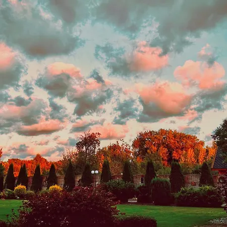 Pod Debami * سفينويتشي