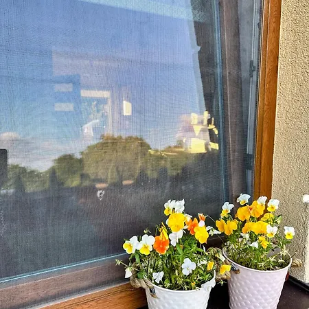 Pod Debami منزل للإقامة سفينويتشي