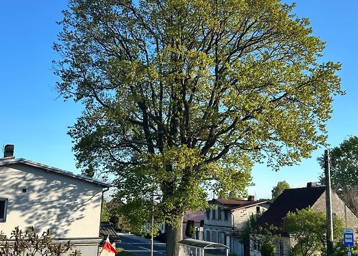 Pod Debami Swinoujscie