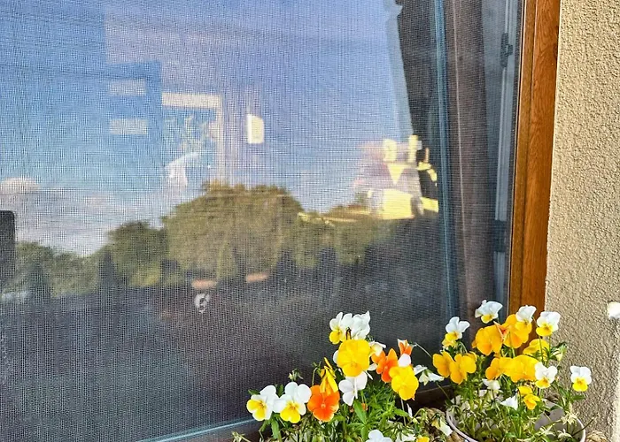 Pod Debami Homestay szállás Swinoujscie