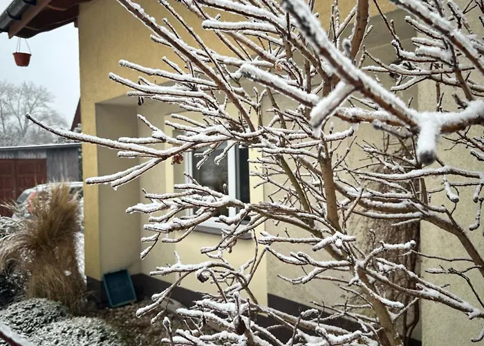 Homestay szállás Pod Debami Swinoujscie